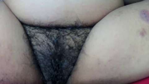 pinayhairypussy4sale